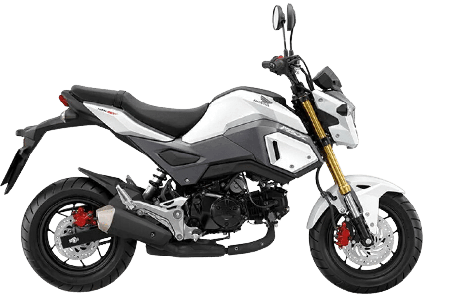 Manual Transmission Bike for rent on Koh Samui: Honda MSX 125SF